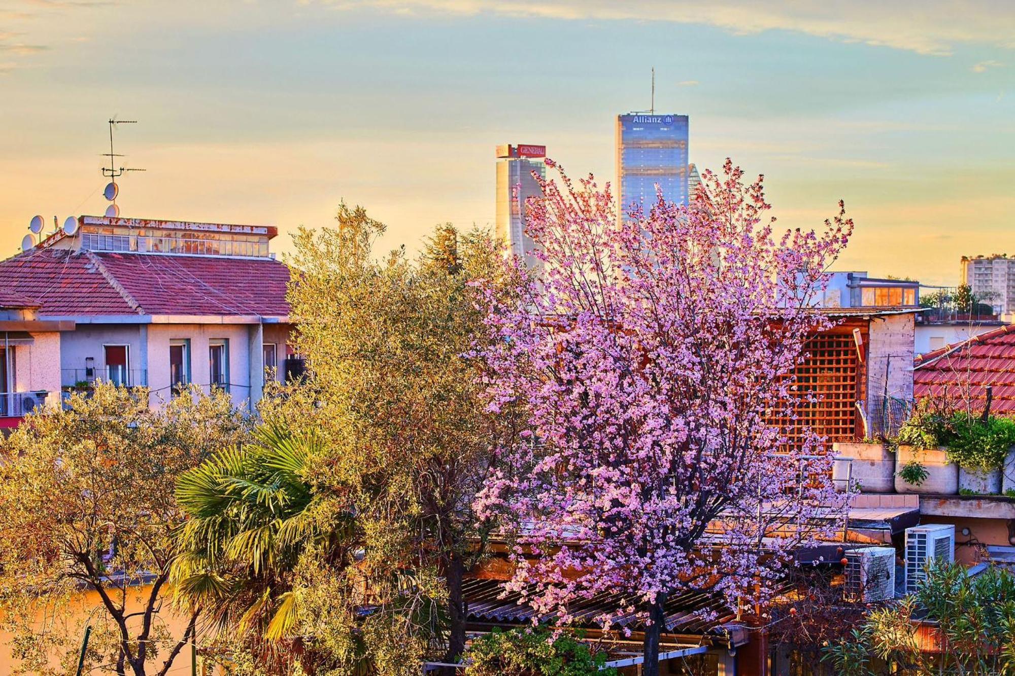 Sant'Ambrogio Charme Apartment Milan Bagian luar foto